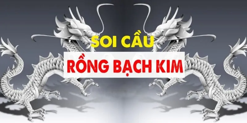 Rồng Bạch Kim Vin88 - Soi Cầu Chuẩn, Tỷ Lệ Thắng Cao